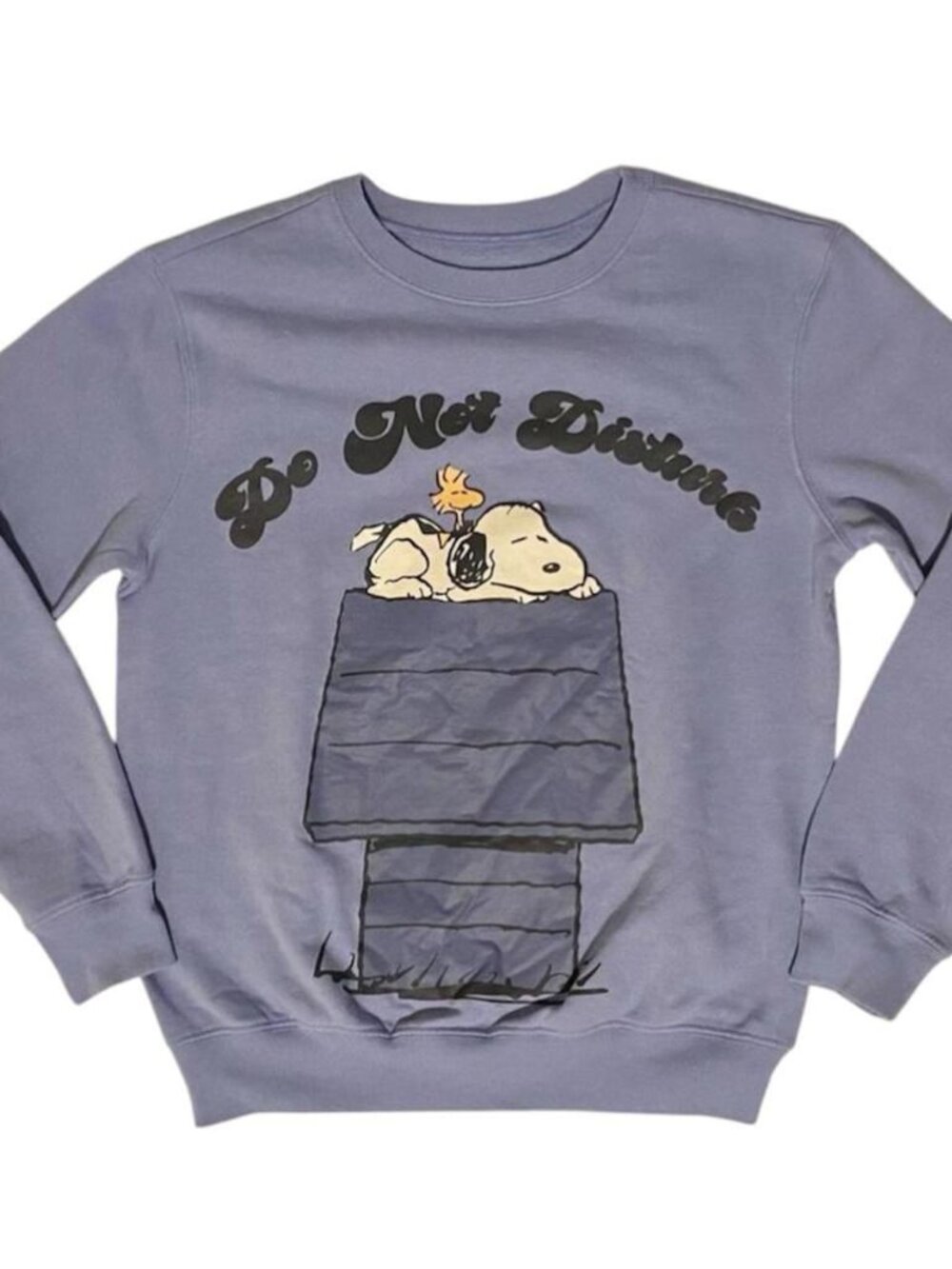 Peanuts Women's Blue Snoopy sweater